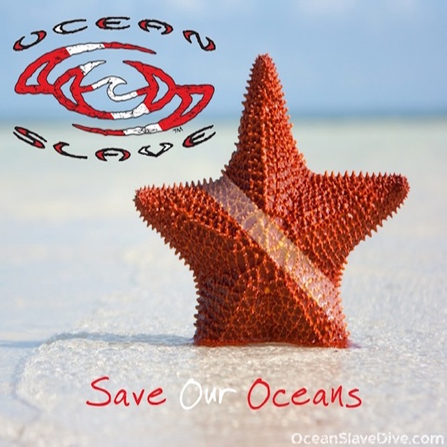 Ocean-Slave-Save-Our-Oceans-Star-Fish