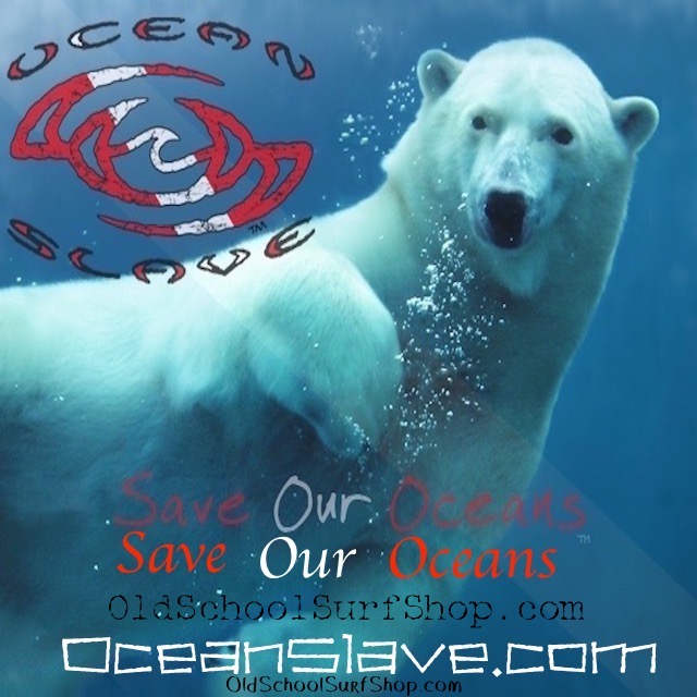 Ocean-Slave-Dive-Surf-Logos-Save-Our-Oceans-Bear